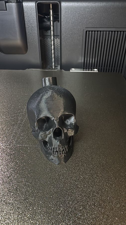 Cráneo decorativo impreso en 3D